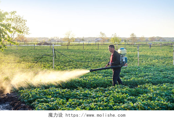 喷洒农药的农民一个农民在土豆种植园里撒了一种抗真菌化学品。在农业中使用化学品。防治真菌感染和昆虫。农业和农产企业、农业工业.